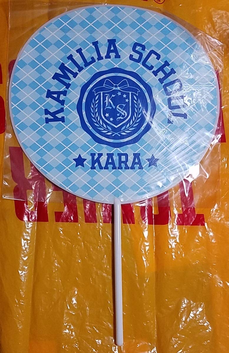Amazon.co.jp: KARA ハンスンヨン KAMILIA SCHOOL 2013